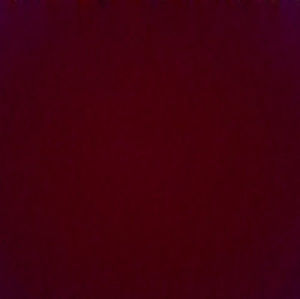 Meet your Posher, Brady